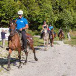 Guida equestre