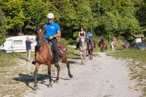 Guida equestre