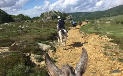 Trekking del vento
