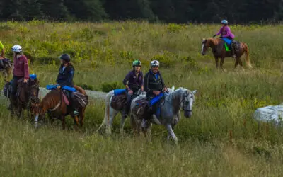 Trekking di fine estate: tra le valli Corsaglia, Maudagna ed Ellero