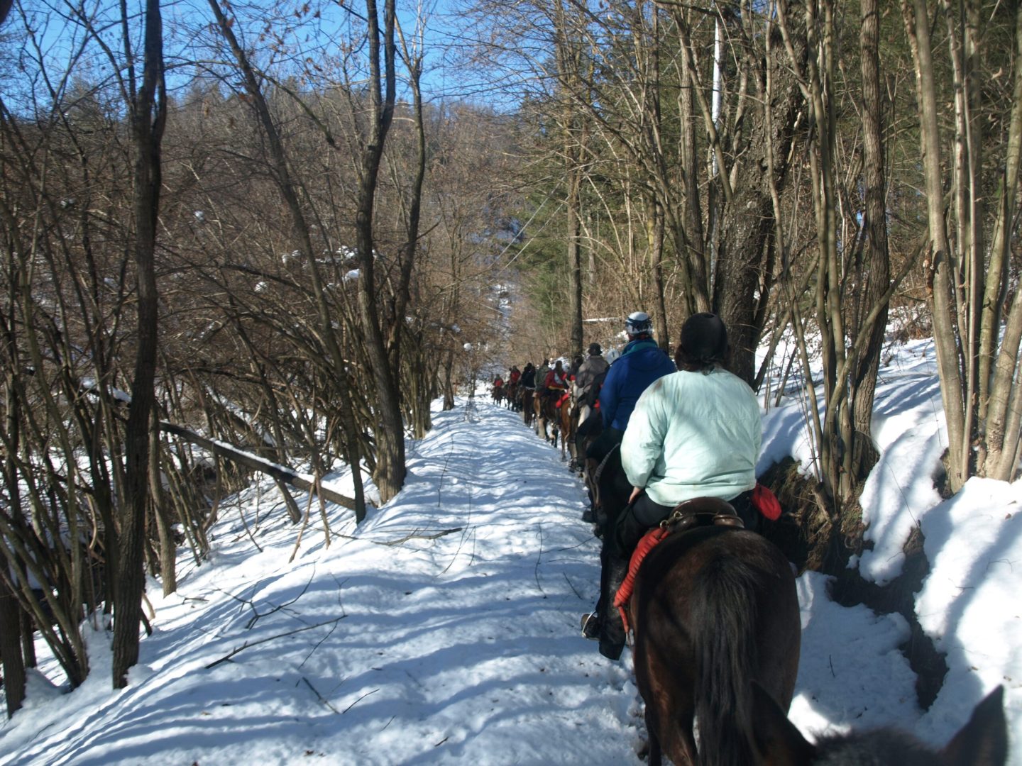 [:it]A Lurisia…in sella per tutto l’inverno![:]