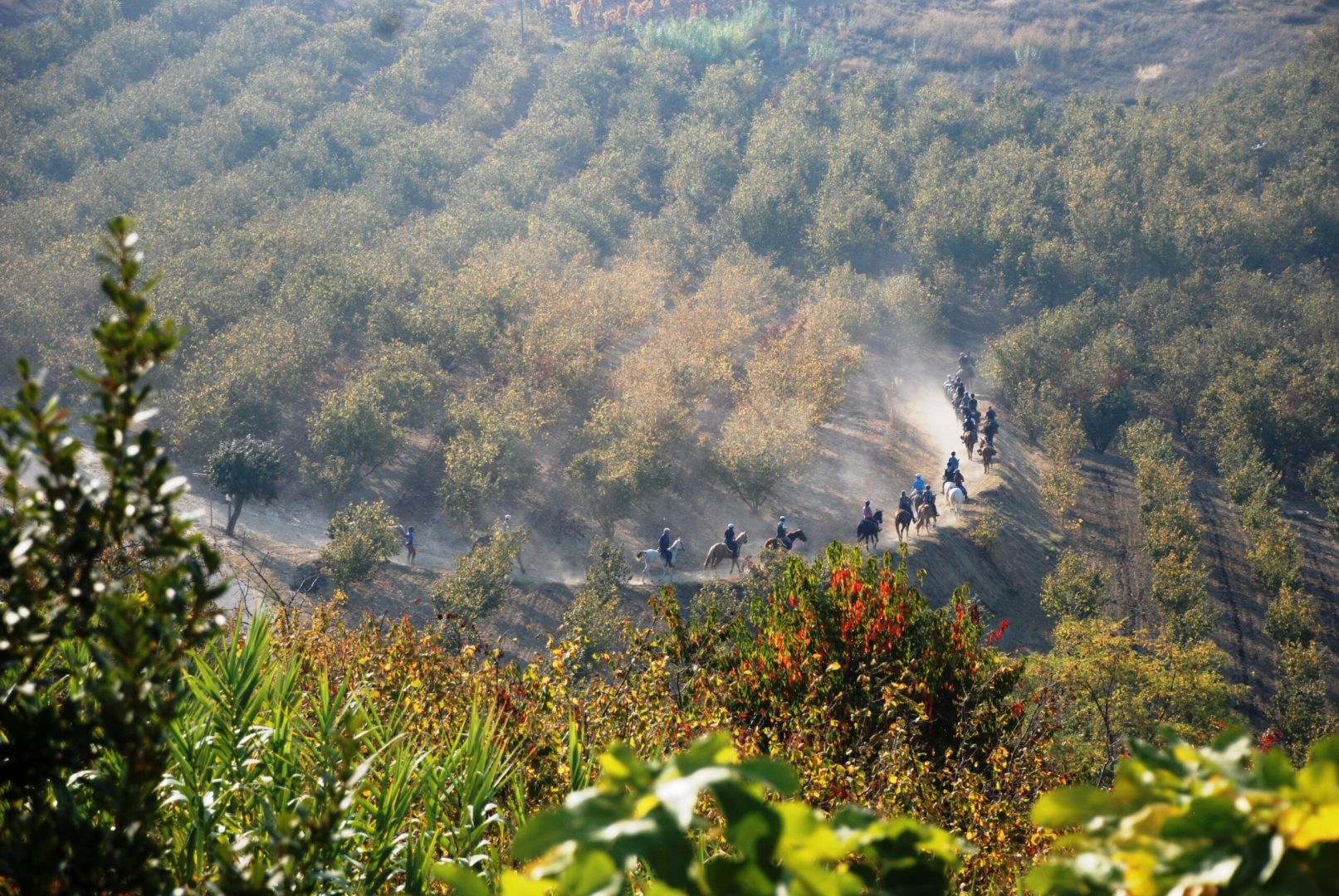 [:it]Via dei Vini 2018: ci siamo![:]