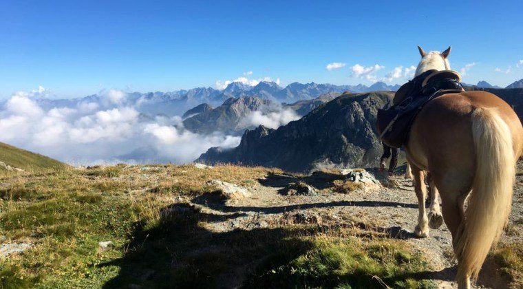 [:it]Roumiage: trekking tra le Alpi Provenzali[:]