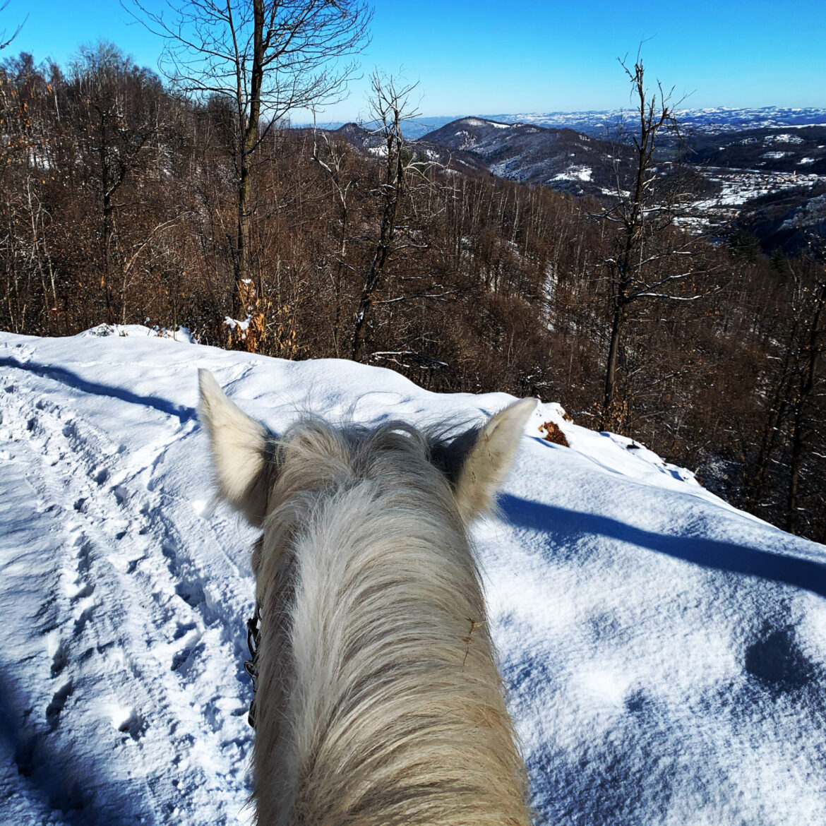 Trekking della Befana…tradizione d’inverno nei luoghi del Gal Mongioie