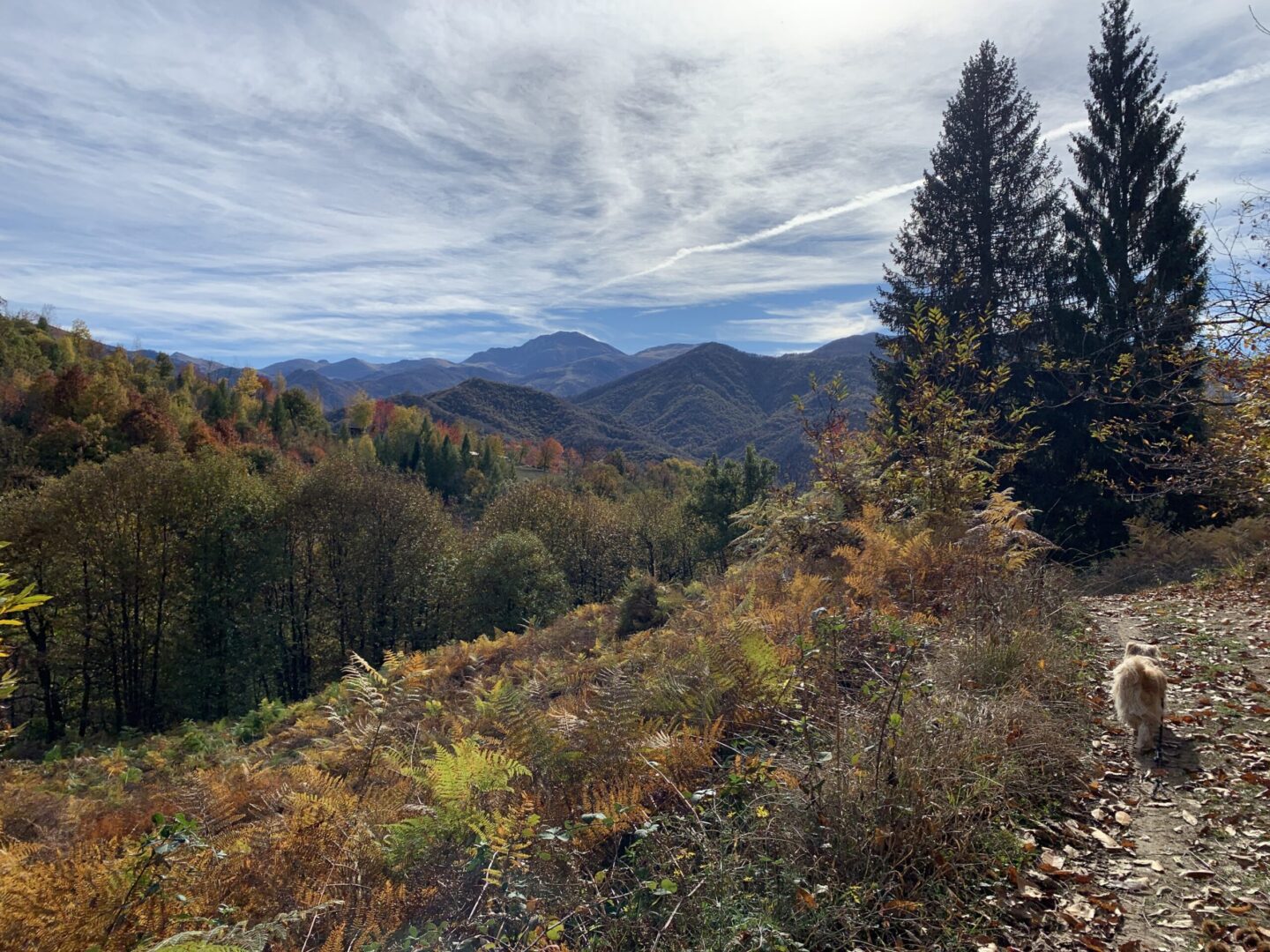 Escursione a piedi di fine autunno: Serra degli Ulivi e Lago di Pianfei